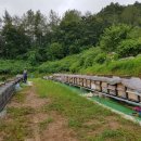 꿀벌농장 이미지