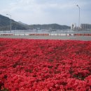 차산천 이미지