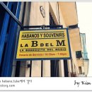 카리브민박 이미지