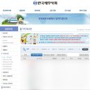 세무사거리 세무서 방향 | [수습세무사] 수습처 구하는 꿀팁