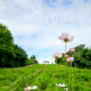 수원올림픽공원 이미지