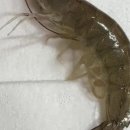 순천향로 이미지