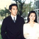 가을동화 Daum카페
