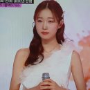 미스동백 이미지