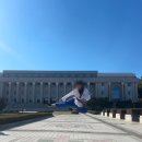 라이온스태권도 이미지