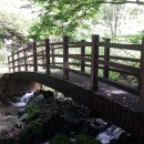 푸른길목장 이미지