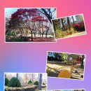 송파구 책읽는 역사길 이미지