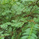 호근목장 이미지