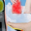 렉스플라이 이미지