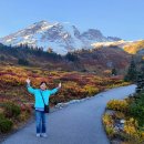 Seattle 여행 - Rainier, Olympic National Park 이미지