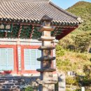신안사 이미지