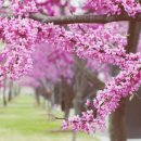 우리동네 이미지