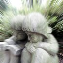 빛나환경 이미지