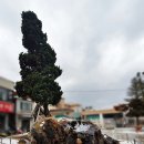 광남1동-21 이미지