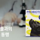 주식회사 키베이직 이미지