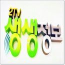 비래서로9번길 이미지