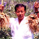 장생약국 이미지