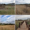 유니스의정원 이미지