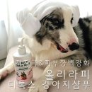 올리라피 | 피부장벽 강화되는 특허 성분이 들어있는 올리라피 디톡스 허브 강아지샴푸 대만족 후기
