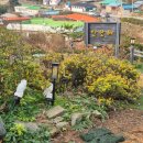 청산도 안단테 이미지