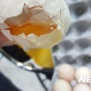 도화유통