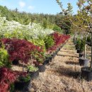 미소농장 이미지