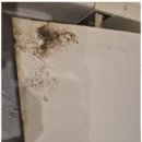 이끌림케어 | 건조기청소 이끌림케어 강동센터 사용후기