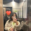 경기도 수원시 영통구 인계로284번길 이미지