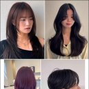 하이헤어 아뜰리에 | 조곡동 미용실, 하이헤어 아뜰리에에서 인생 머리 찾았어요!