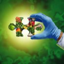 아레나 휘트니스 이미지