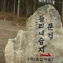 돌리네습지주차장 이미지