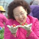 먹고가쉼