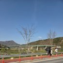 호미마루 | 왕사남으로 뜬 강원도영월여행 청령포 다녀온 솔직후기 (스압주의)