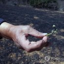 기곡경로당 이미지