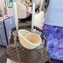나은가방 | 나고야 여행 3일차 (츄부국제공항 터미널 1 바오바오 이세이미야케 가방, 스카프 구입 후기)