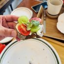 2445 | 대전유성브런치맛집 시나피 브런치 로스터리 유럽 감성 가득한 브런치 카페