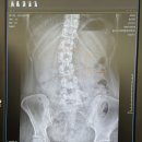 가락마취통증의학과의원 이미지