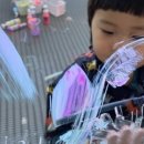 파레트팡 - 김포시 태장로 820 | 파레트팡