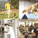 서울대공원 동물병원 이미지