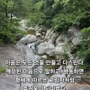 ☀ 2024년 11월 01일(음 10월 1일) 금요일 초하루 기도 축원 날입니다 ☀ 이미지