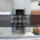 대덕사 | 교토 무료 전시: 이우환 판화전, 좋아했는데 이번엔 조금 달랐습니다