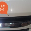 프로카VIP 이미지