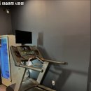 머슬원핏 이미지