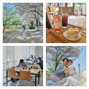 엔젤스코인노래연습장 일산풍동점 | 일산데이트] 일산호수공원피크닉 / 카페 에이번리...충칭마라탕마라샹궈본점 / 코인조이코인노래방