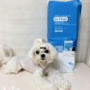 닥터파인드 이미지