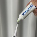 이가의안클린 | 전동칫솔 추천, 클린이스윙 치과의사 추천 양치법