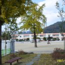 은풍초등학교 이미지