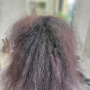 (주)지성약품 | 일산, 파주 악성곱슬 전문 미용실 시술 후기[25년 11월 기준]