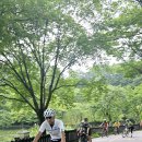 분당-103 이미지