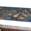 공원회센타 이미지